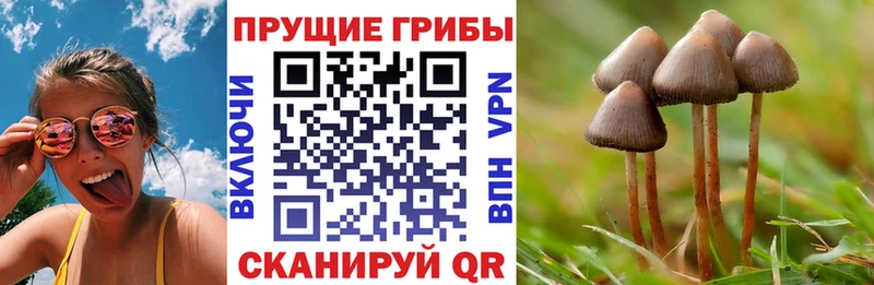 Псилоцибиновые грибы ЛСД  наркотики  Архангельск 